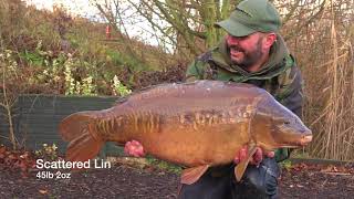Dave Levy Vlog #9: A Quick Winter Recap