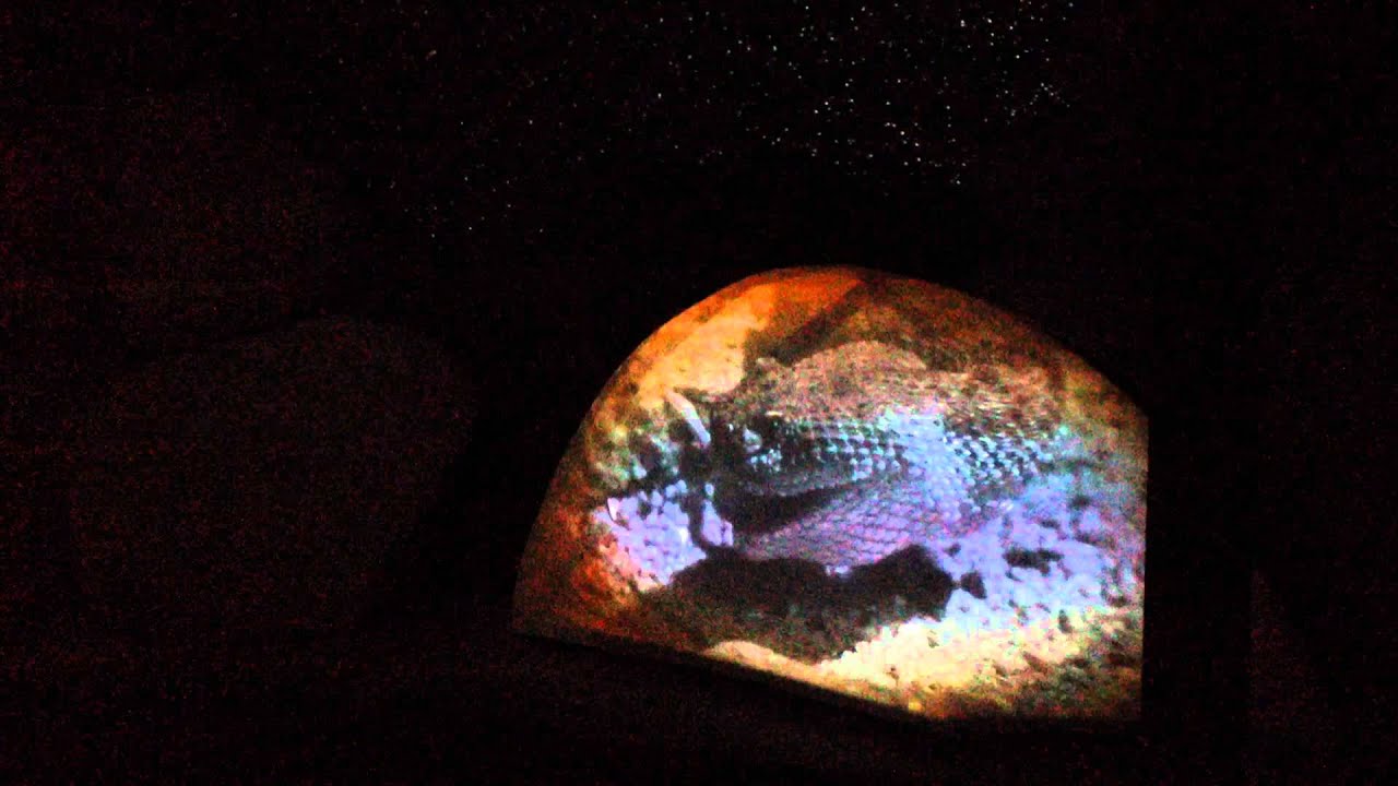 Desert at Night, Coast to Cactus, San Diego Natural History Museum