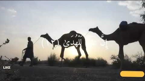 تلاوة عذبة وخاشعة في فيديو: سورة الليل - الشيخ مشاري راشد العفاسي، عالم من الطمأنينة والخشوع