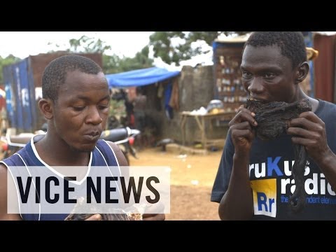 Monkey Meat and the Ebola Outbreak in Liberia 