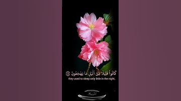 صباح الخير 🌺 حالات واتس اب مقاطع قصيره قران كريم🌺 كانوا قليلا من الليل ما يهجعون🌺احمد خضر بدون حقوق