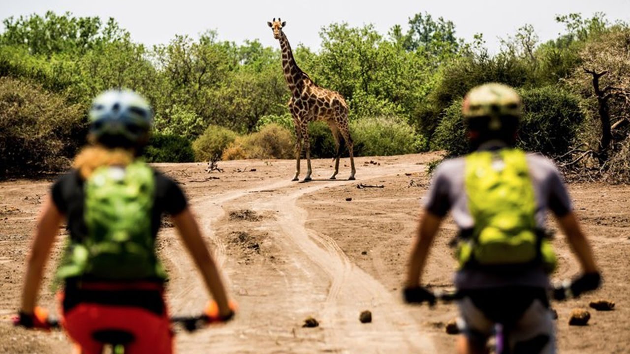 botswana safari by bike