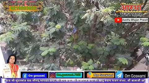 Live Stream with Your Mobile with 3D Scrolling Text and Logos, Multiple Languages