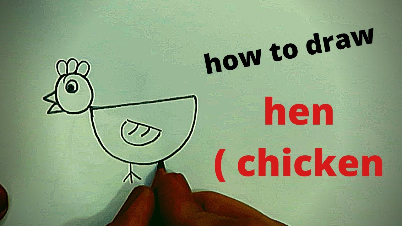 how to draw hen or chicken - YouTube