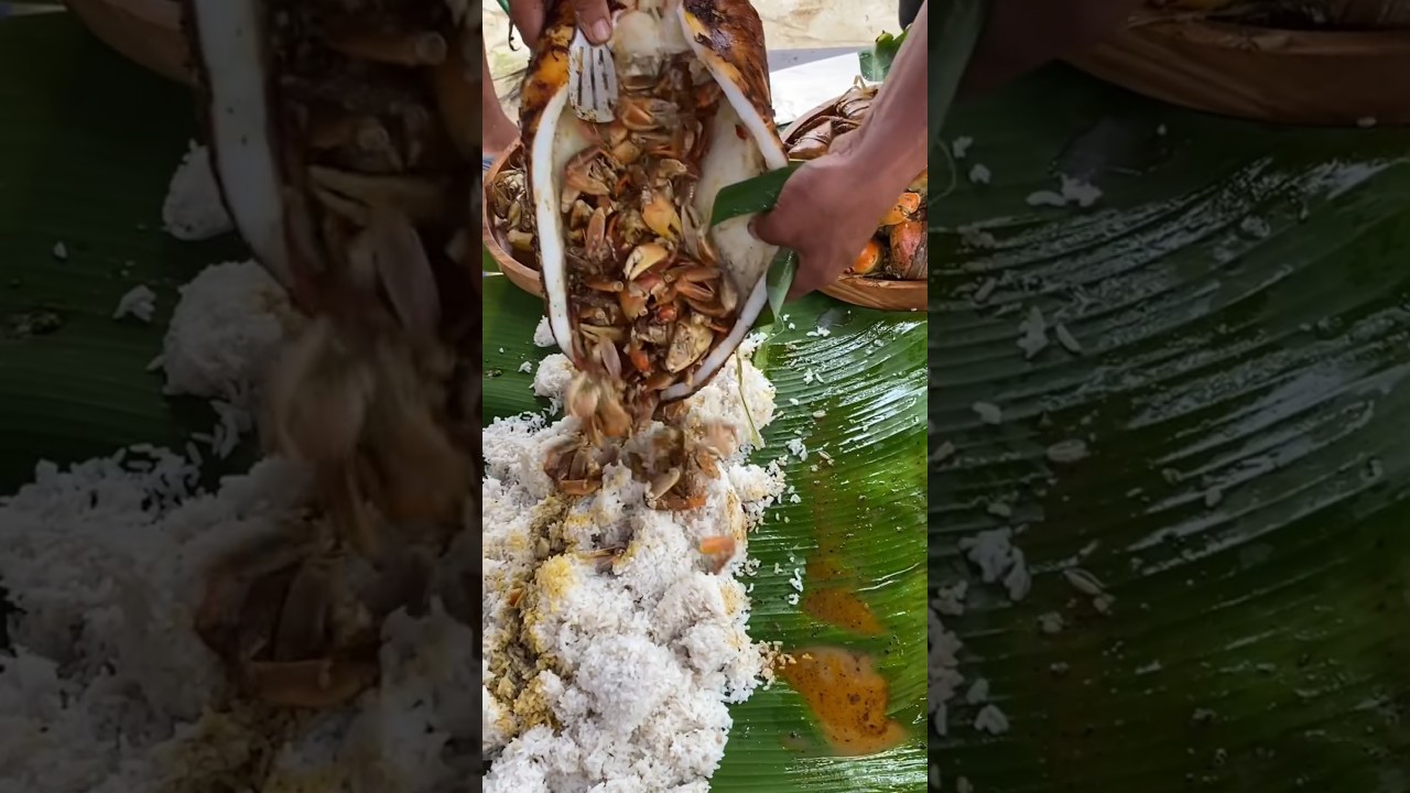 The PERFECT Seafood Lunch Combo! 🦑