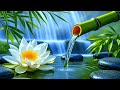 🌙 Relaxing Piano Music for Sleep, Study, Meditation &amp; Focus | 24/7 Live Stream for Peaceful Mind