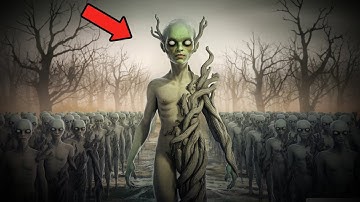 Drones Unveil Ancient Secrets That Could Rewrite History—What They Found Will Shock You!