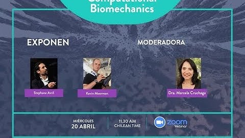 Third Webinar Computational Biomechanics
