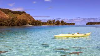 Saturday Vigil English Mass 3/7/26