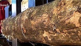 Splijt Het Goedkoopste Teakhout Ter Wereld, Een Stok Staat Gelijk Aan Een Zak Rijst