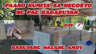 BABUYANG WALANG AMOY | DAY 7  ✅ PAANO KUMITA NG MALAKI SA BACKYARD PIGGERY BUSINESS by KaBuddy Moko USAPANG BUSINESS 519 views 1 month ago 8 minutes, 4 seconds