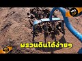 คราดพรวนดิน แบบผานไถ พรวนดินง่าย รากไม่ค่อยขาด