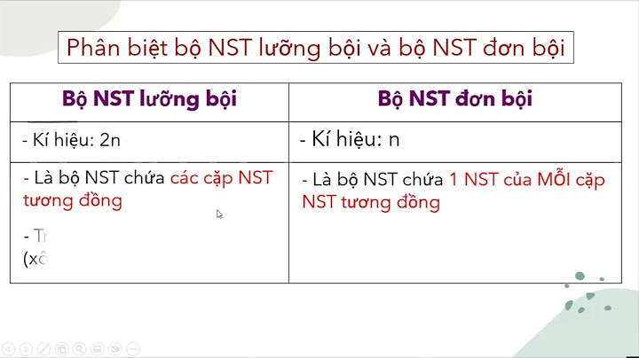 So sánh nst đơn bội và nst lưỡng bội năm 2024