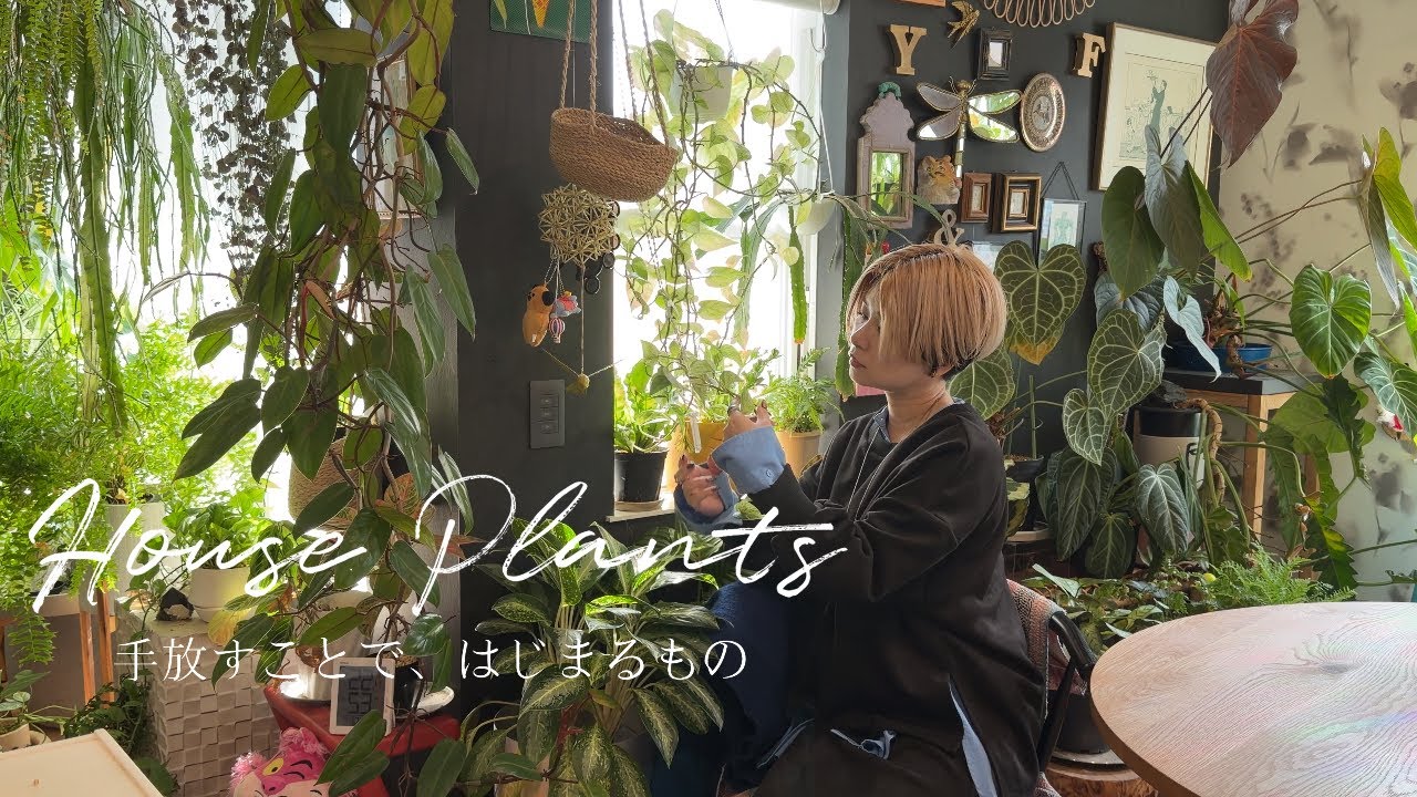 手放すことで、はじまるもの｜観葉植物｜植物のある暮らし｜ガーデニング