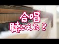 【感動実話 泣ける話】我が良き友