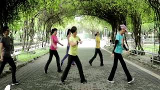 Caminando Por La Vida - Line Dance ( Intermediate)(Colin Ghys)