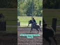 Craziest part is that night he turned around and won me a rodeo check too 💪🏻🤑 #barrelracer #horse