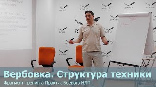 Вербовка. Структура техники. Фрагмент тренинга Практик Боевого НЛП