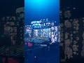 12 мая 2025 г.