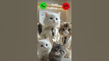 seth calling✨🤙viral🔥 ringtone mi#🤙viralshortvedeo#yt#short#vedeo#cute#cat#seth#calling#mi#ring#call#