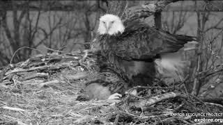 Decorah Eagles North Early morning breakfast 05 06 2019