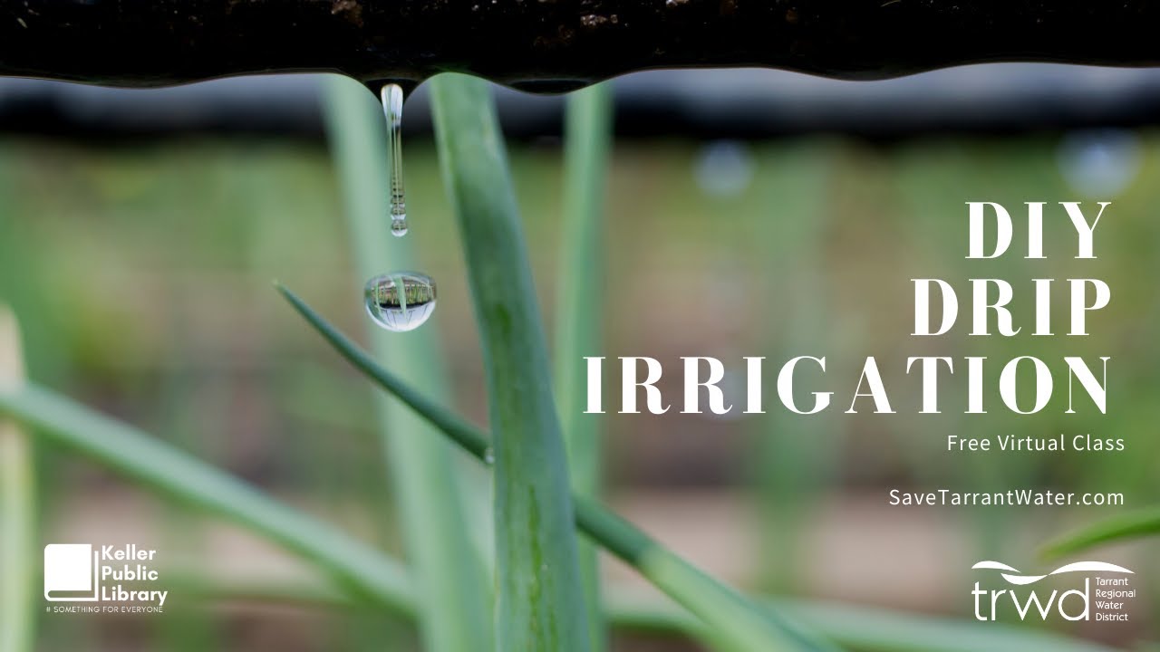 DIY Drip Irrigation for Keller YouTube