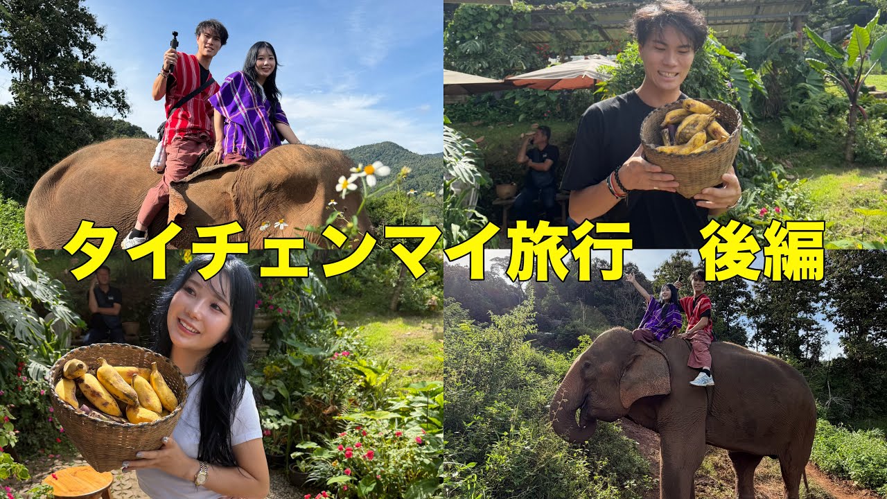 タイ後半でゾウに乗った！！
