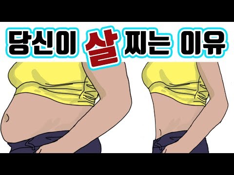 유산균효능