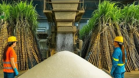 How Sugar Is Made - Unbelievable Billion Tons Of Sugar Processing in Factory