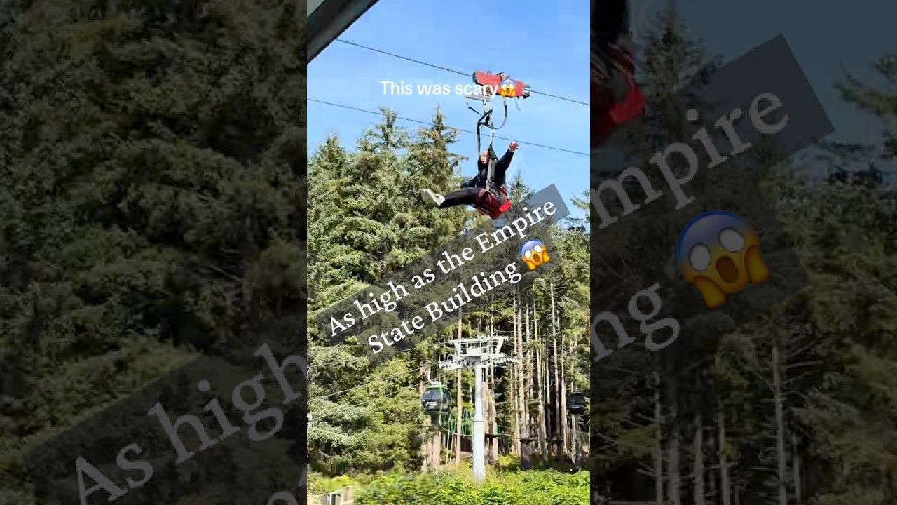 On a cruise to Alaska and tried the biggest ZipRider in the world #ziprider #alaska #mscpoesia