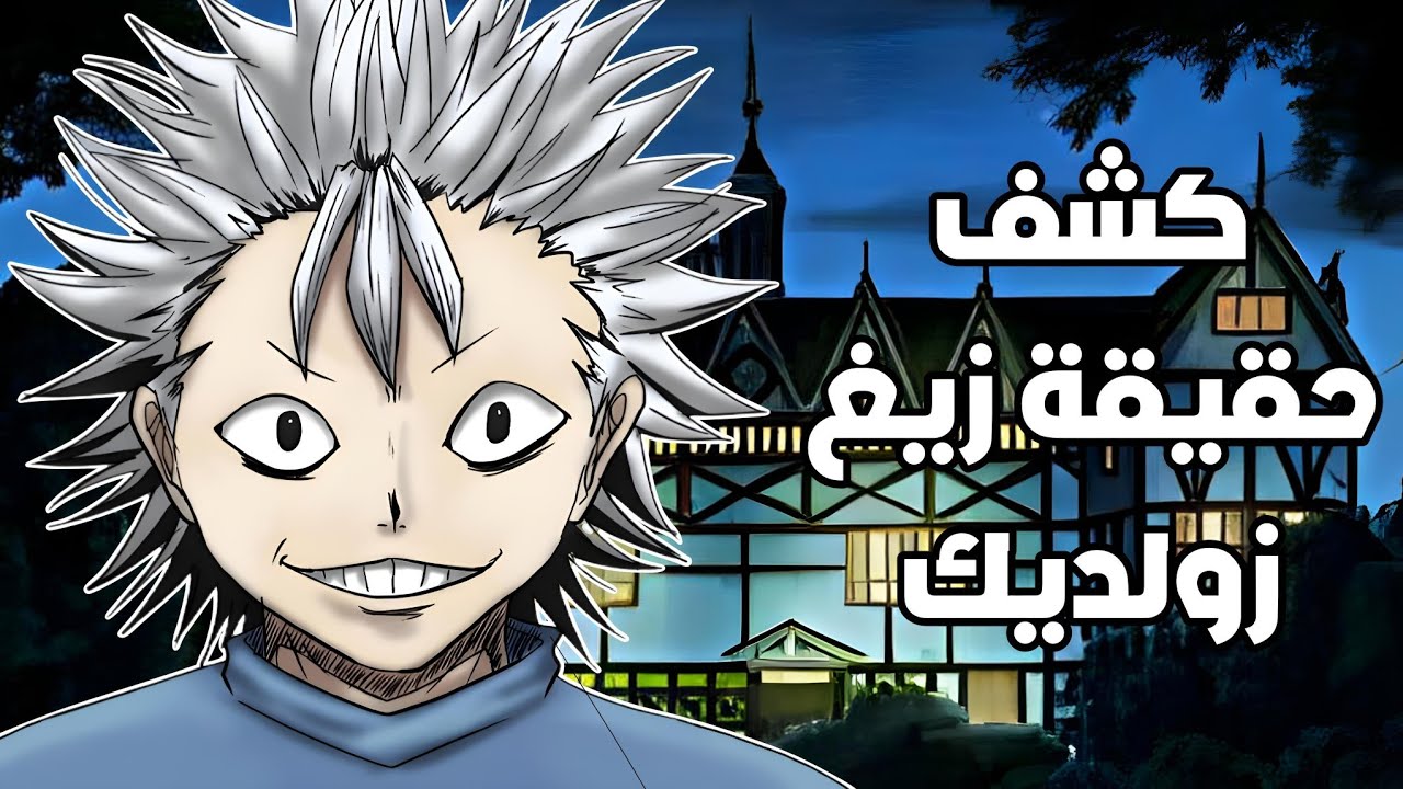 كشف حقيقة زيغ زولديك أقوى شخص في عائلة الزولديك | هنتر اكس هنتر - YouTube