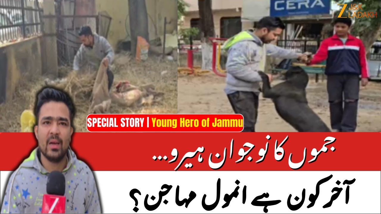 Jammu Youth Anmol Mahajan Builds Warm Beds for Stray Dogs in Freezing Winter | ZeeJKLadakh