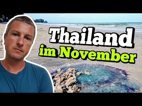 Video: Im November nach Asien reisen