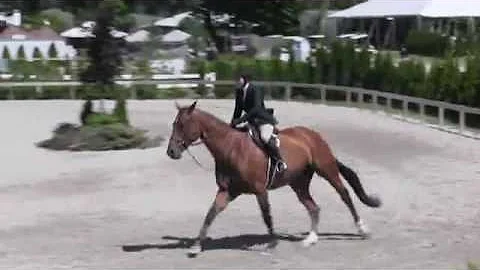 Video of ON BOARD ridden by ELISE BUHL from ShowNet!