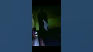 JIN SHOLAT BIKIN KAGET MELEDAK