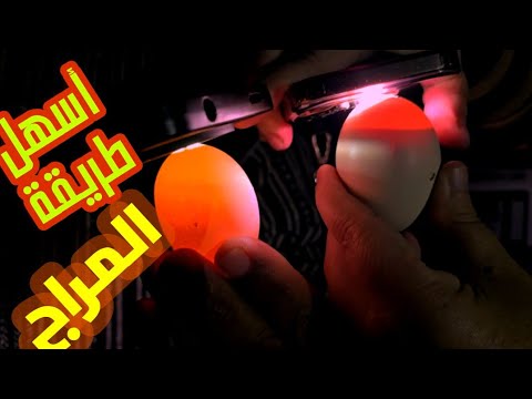 أسهل طريقة باش نعرف البيضة مخصبة من يوم 18 تابع الفيديو حتى النهاية لتستفد