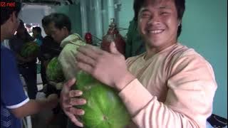 film cara kerja dan cerita di kapal cumi Taiwan
