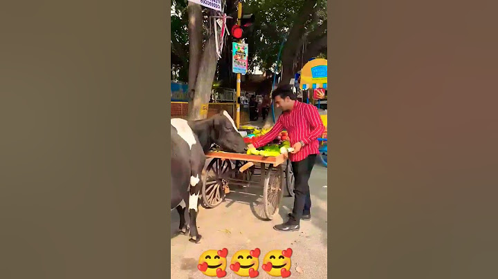अंकल का सब्ज़ी गाय माता खा गई😱😢#humanity #respect #helping #trending #viralvideo #youtubeshorts