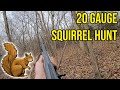 20 Gauge Squirrel Hunt