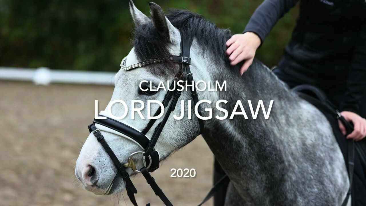 Clausholm Lord Jigsaw 2020