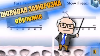 Шоковая заморозка - что это? Обучающее видео