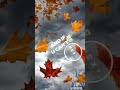 I miss you more than life #shortvideo #phonkagressive weather edits #myvideo #shortclip #slowvideo