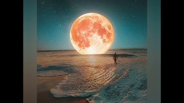 آمن الرسول بما انزل اليه من ربه والمؤمنون / أواخر سورة البقرة بصوت جميل