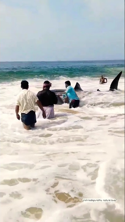 pedda fish samudram fishing in Telugu Kbro Vlogs