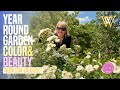 How to get year round garden color and beauty