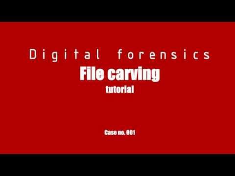 kali linux digital forensics, file carving