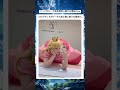 それよりなんやねんそのポーズww #おもしろ #shorts