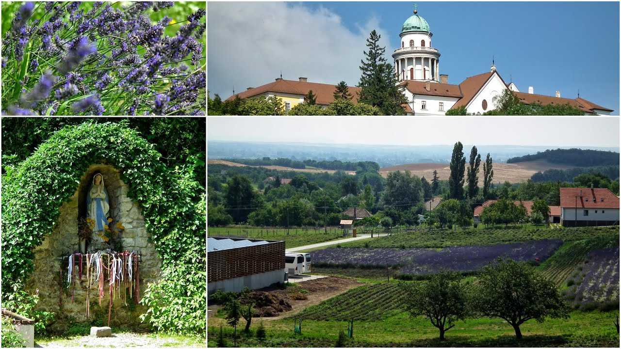 Pannonhalmi Főapátság Arborétum és Gyógynövénykert
