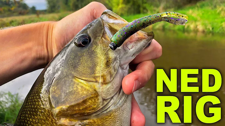 Ned Rig Retrieve Technique - Drag & Shake