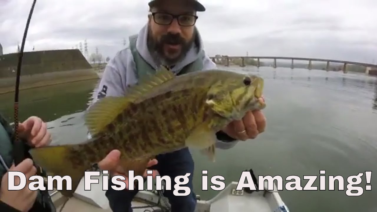Fishing Below Dams and Tailwaters for Giant Fish! YouTube